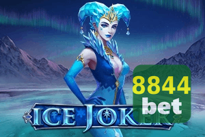 8844 BET privacidade — LGPD e tratamento seguro de dados pessoais